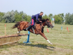 В Волгоградской области пройдет конный поход казаков