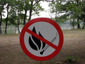На майские праздники вводится запрет на посещение лесов