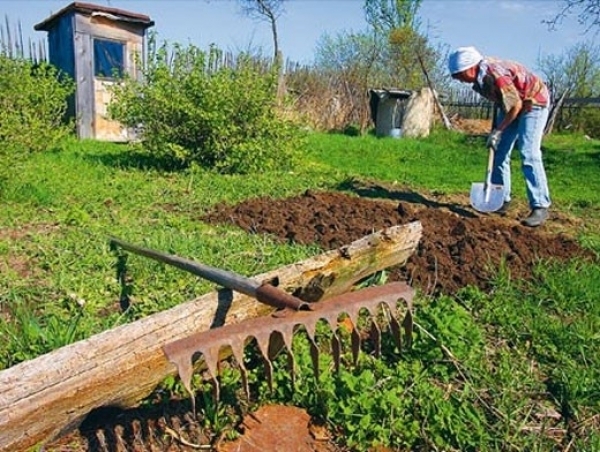 В Волжском садоводы отметили 50-летие СНТ «Цветущий сад»