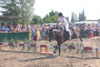 На казачьих конно-спортивных играх разыграли Кубок губернатора