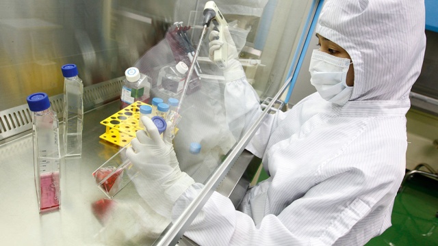 Ученые США создали смертельный вирус
