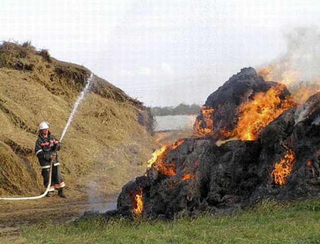 В Волгоградской области сгорело около 30 тонн сена