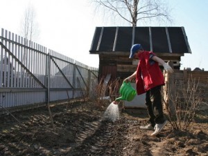 дачники