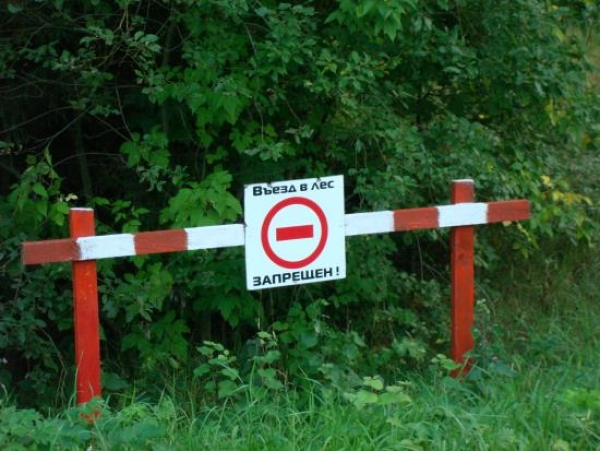 В Волгоградской области продлен запрет на посещение лесов