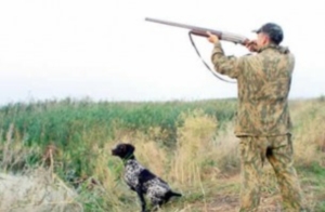 Сезон охоты в Волгоградском регионе открывается с ограничением