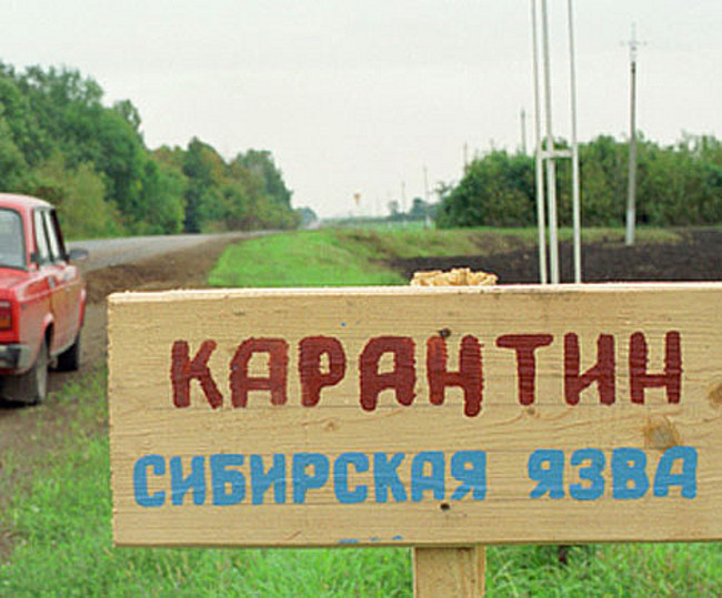 Диагноз Сибирская язва подтвердился у жителя Волгоградской области