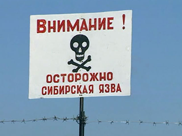 В Волгограде продавец мяса госпитализирован с подозрением на сибирскую язву