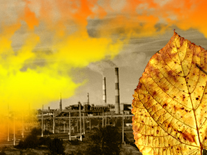 Власти Волжского ищут источник химического запаха в городе