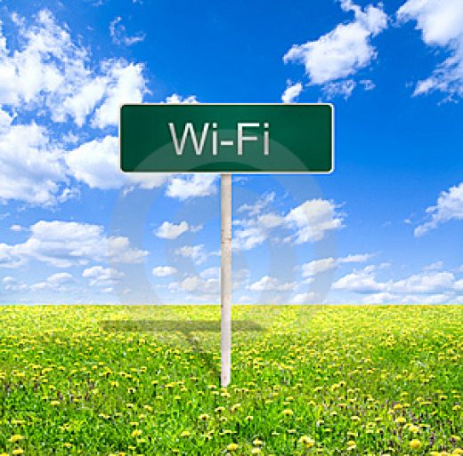 Жители Волгограда заработали более 5 млн рублей на подключении к Wi-Fi