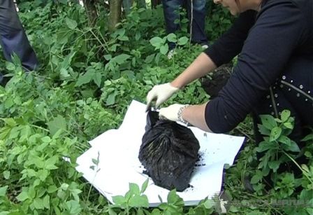 Молодая волжанка закопала мертвого малыша в лесополосе