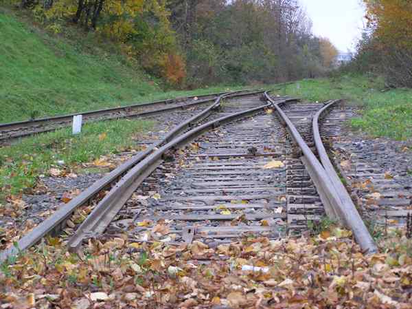 В Волгоградской области поезд обезглавил мужчину