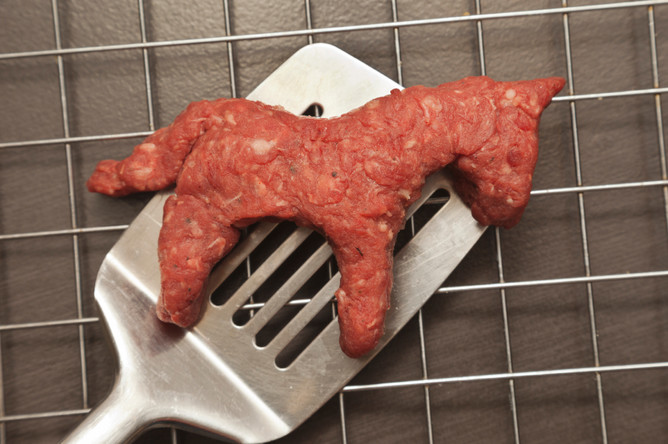 Потребление мяса конины может быть опасно для жизни