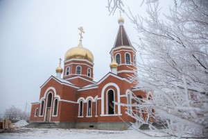 _MG_9705-1