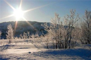 день зимнего солнцестояния