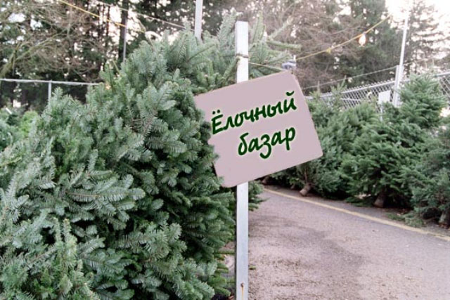 Где в Волжском купить новогоднюю ёлку?