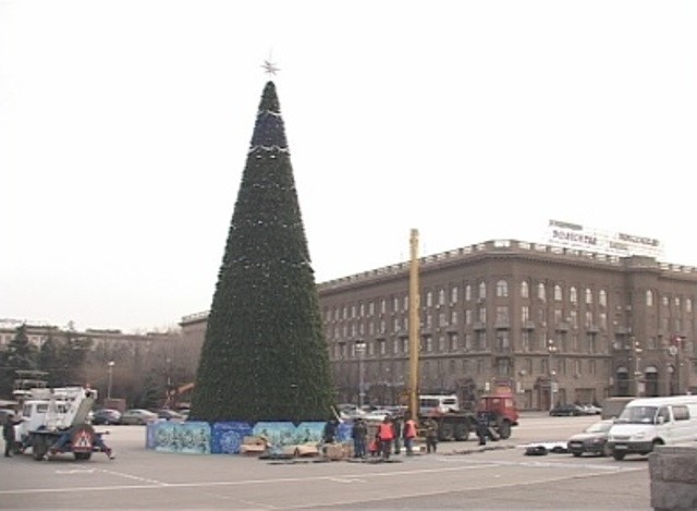 В Волгограде наряжают главную  новогоднюю красавицу