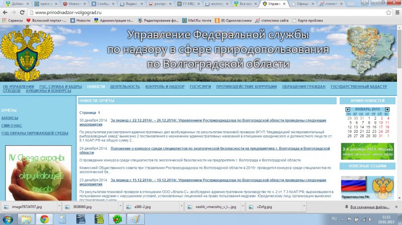 За некачественный сайт замруководителя Росприроднадзора оштрафовали на 3000 руб