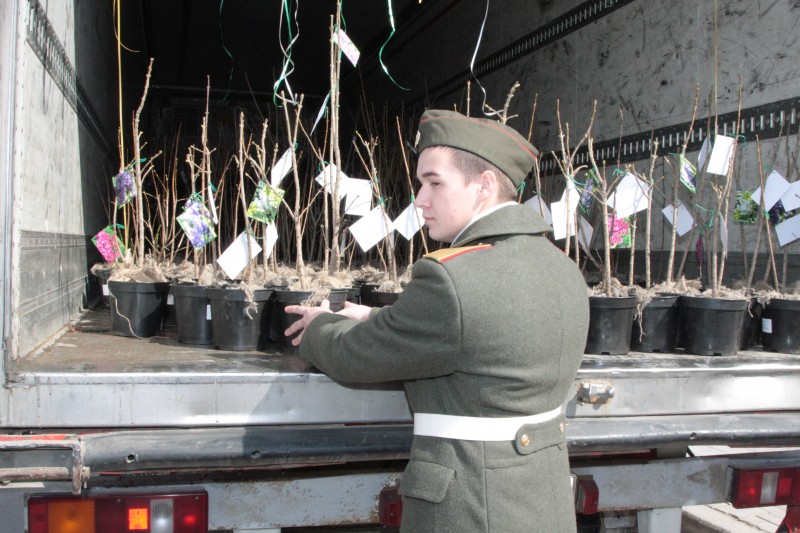 В Волгоградской области дан старт проекту «Сирень Победы»