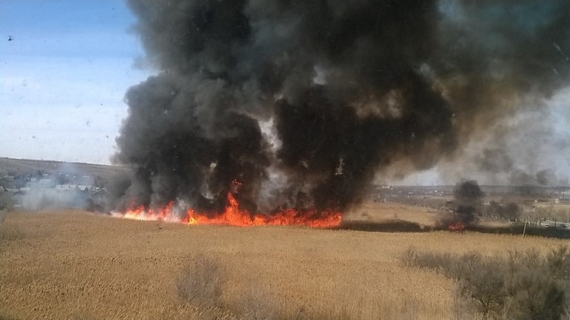 В Волгограде пламя от горящей травы перекинулось на частный сектор