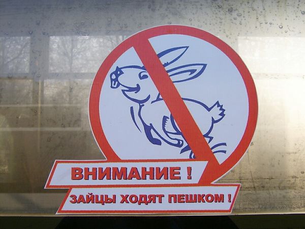 В волгоградских электричках начали борьбу с «зайцами»