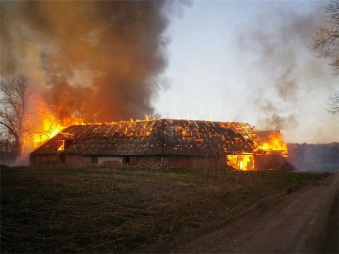 В результате пожара в конюшне сгорели два породистых жеребца
