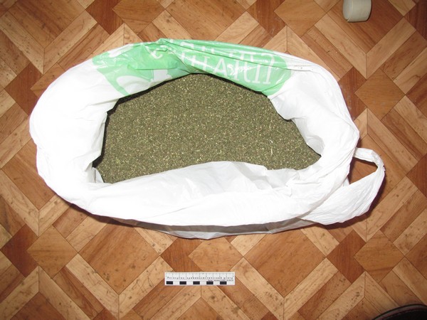 В волгоградском парке газонокосильщик заготовил более 1 кг наркотиков