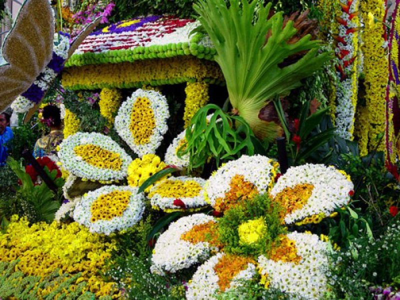 В Волжском пройдет Международный праздник цветов