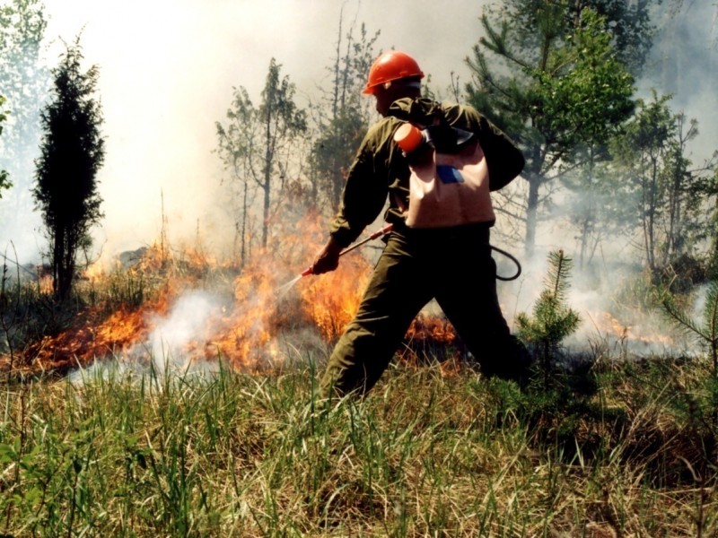 В регионе ликвидирован крупнейший лесной пожар