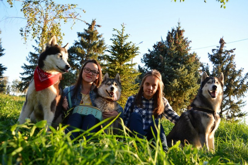 В Волжском пройдет благотворительная фотосессия с собаками