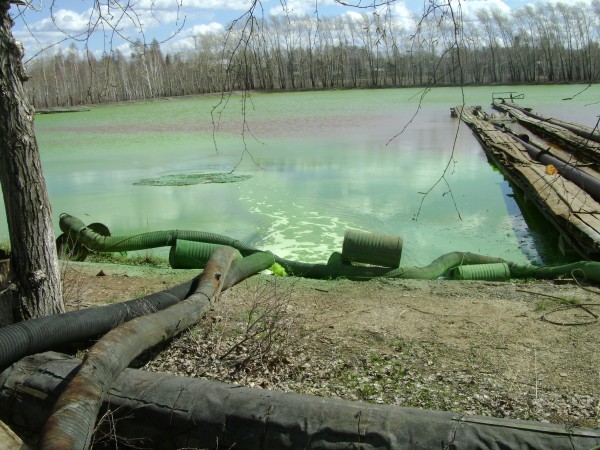Пруд под Волгоградом превратили в свалку химических отходов