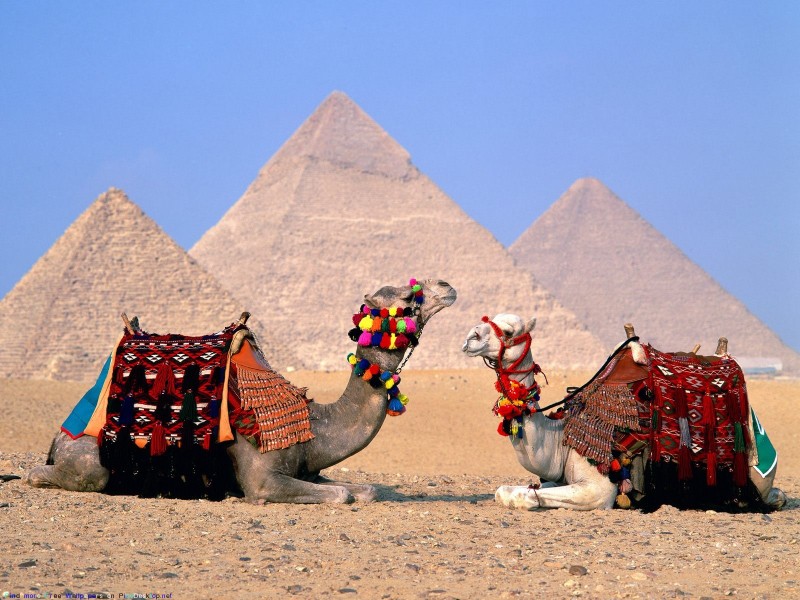 Туроператорам запретили отправлять туристов в Египет через другие страны