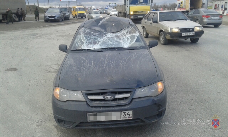 В Волгограде водитель иномарки сбил пешехода-нарушителя