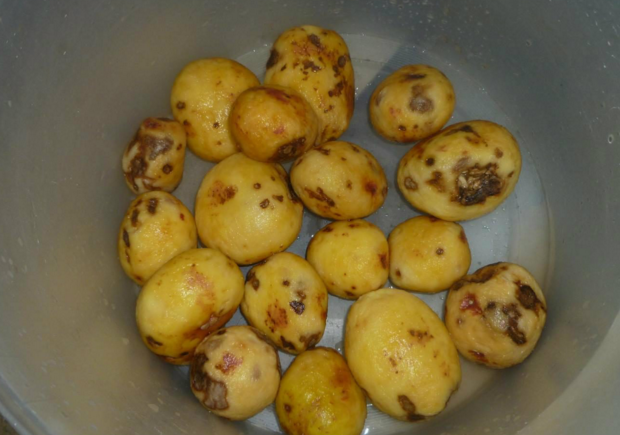 После скандала с ужасным питанием уволен персонал школьной столовой