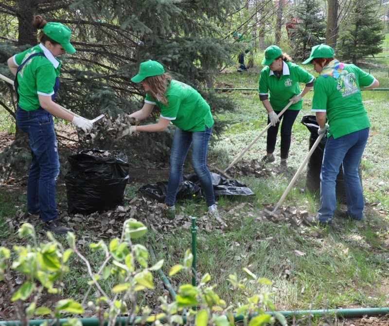 Подводим итоги осенней уборки