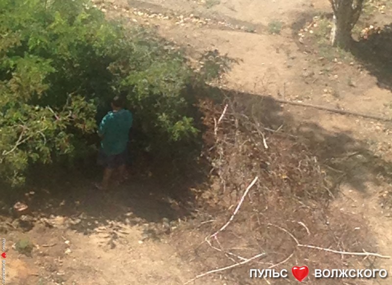 В Волжском на конечной остановке маршруток появится долгожданный туалет