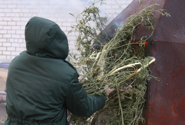 Наркополицейские Волгоградской области жгут опасные «вещдоки»