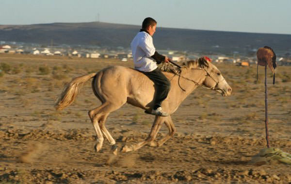 В Палласовском районе 37-летний казах незаконно пересёк границу РФ верхом на коне