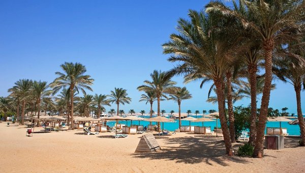 Россия в короткие сроки возобновит полеты в Египет