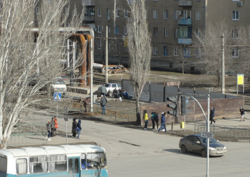 В Волжском появится цветочная торговая галерея