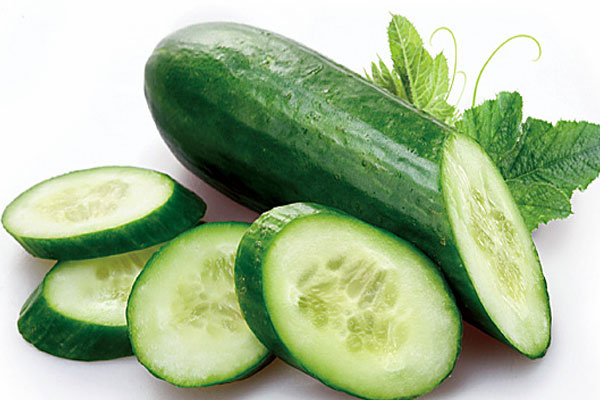 Волжскую «Ботанику» наградили золотой медалью за огурцы