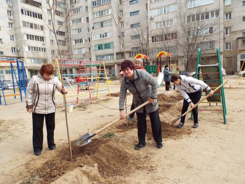 В Волжском прошел первый субботник в рамках акции «Зеленый двор»