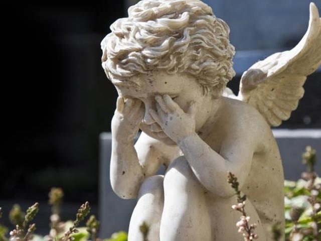 В Волгограде высадили аллею Ангелов в память о детях-жертвах ДТП