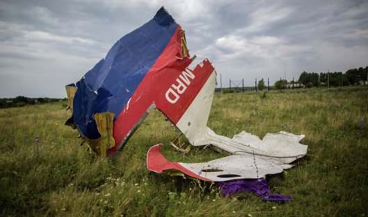 Опубликован отчет о расследовании крушения Boeing МН17 в Донбассе