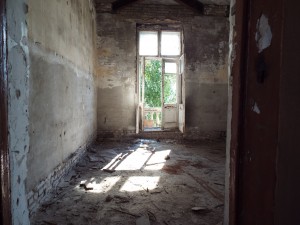 DSCF4176