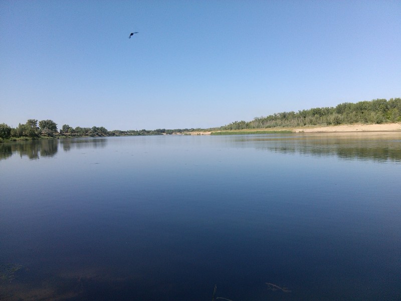 Волжан приглашают на экскурсию в пойму