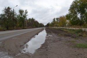 зеленый (2)