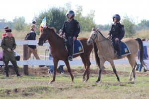 Фестиваль (7)