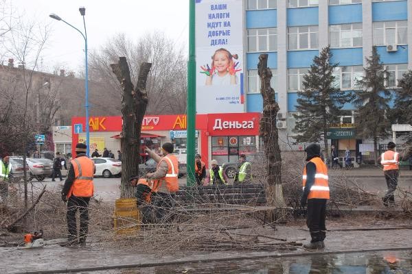 Озеленение Волжского