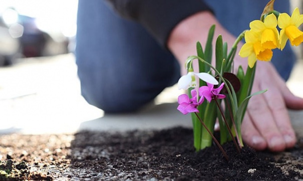 Садоводы и земельный налог