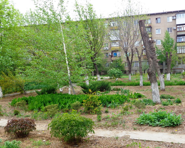 Конкурс на лучшее благоустройство прилегающей территории в Волжском